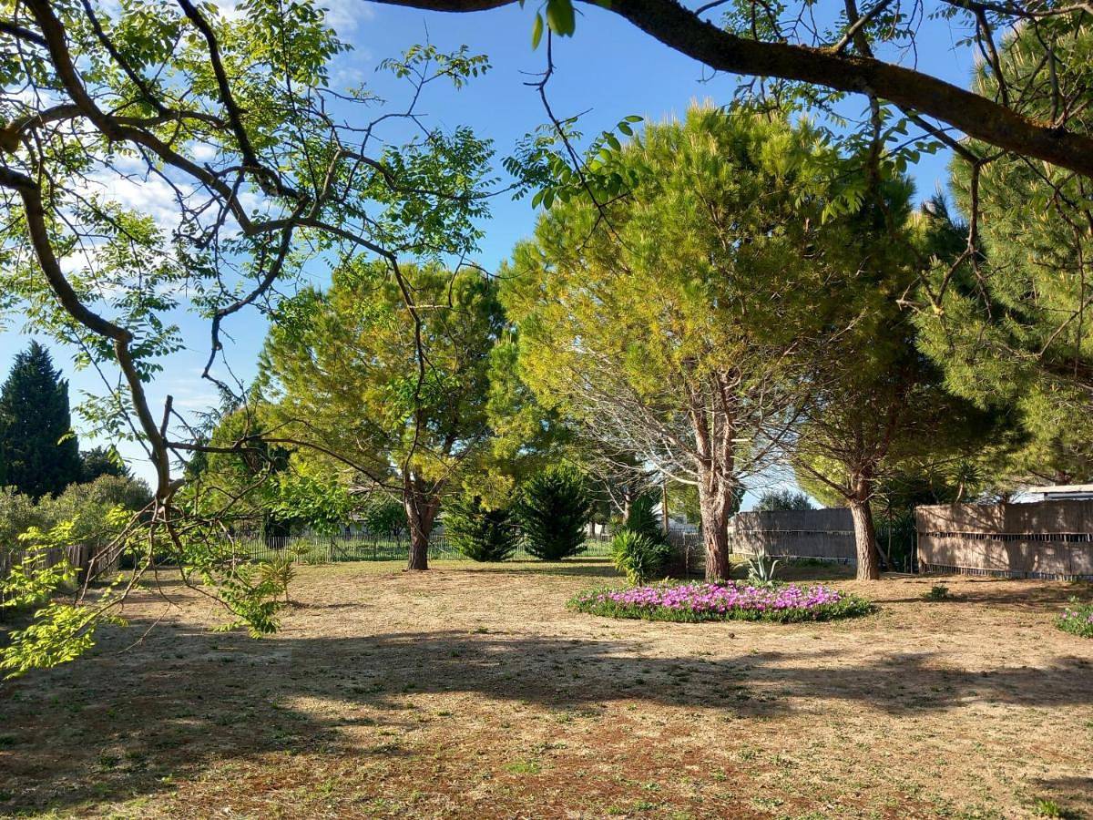 Domaine de L'Outarde Canepetiére Gîte A in Saint-Laurent-d'Aigouze, Côte d'Améthyste