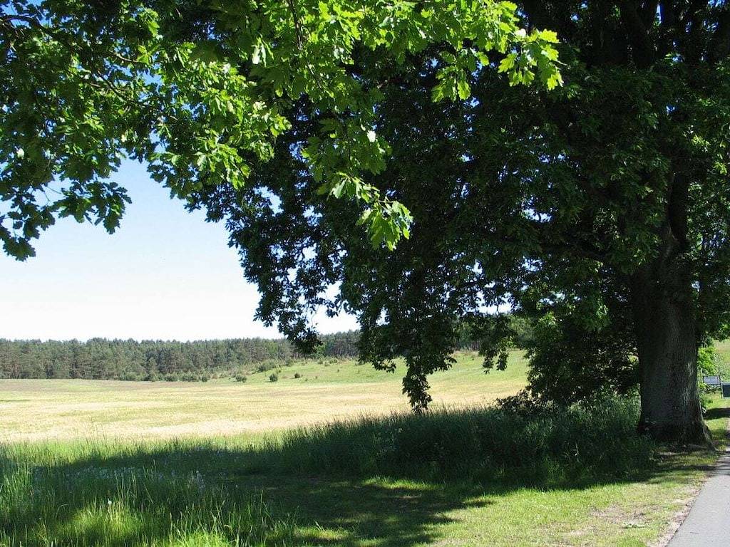 Im Ferienpark Lenzer Höh I in Fünfseen, Plauer See
