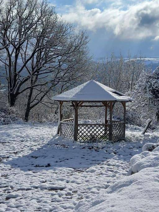 Three-Bedroom Chalet (6 Adults) in Saint-Cirgue, Région d'Albi