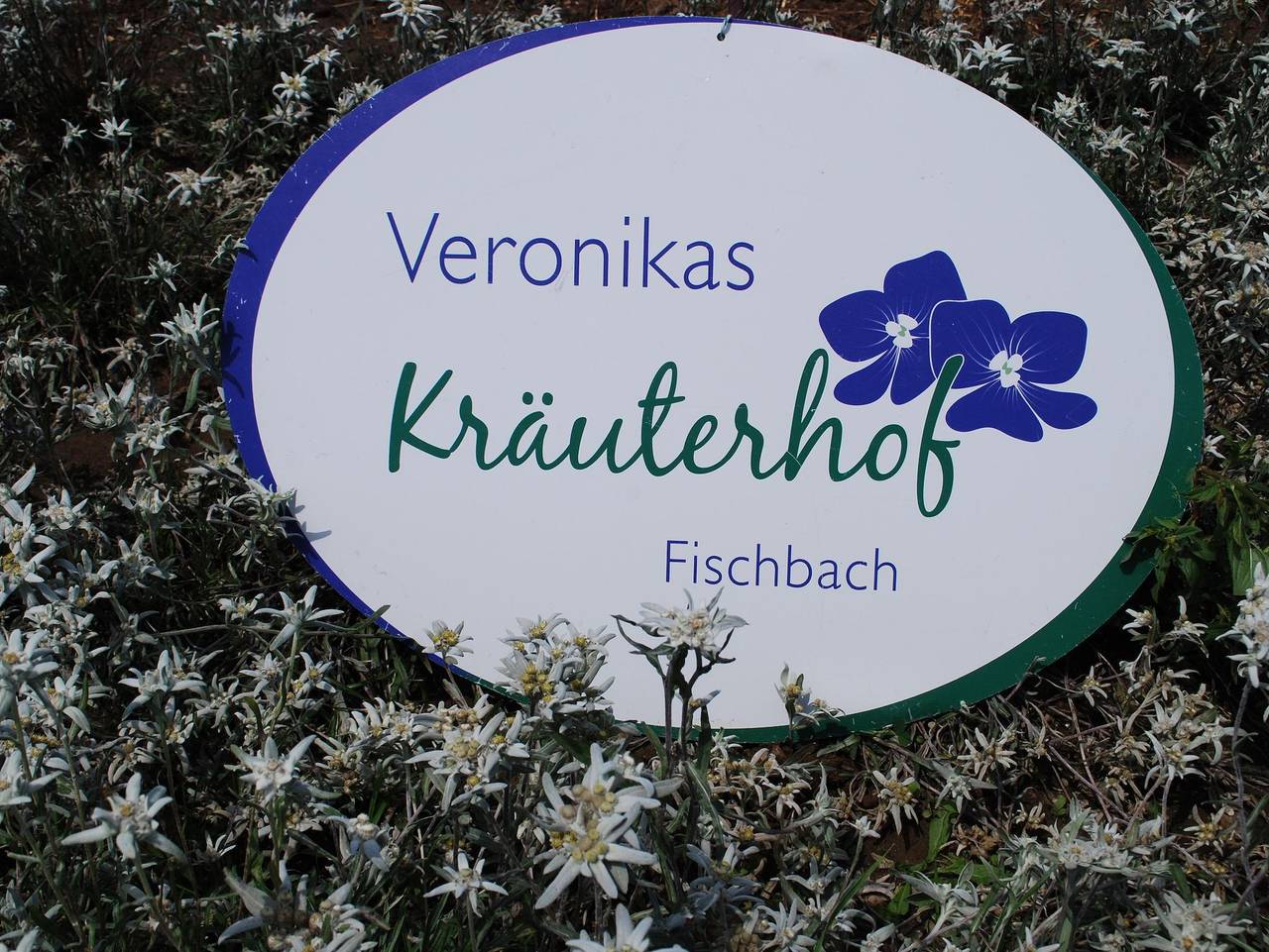 Ganze Ferienwohnung, Ferienwohnungen "Veronikas Kräuterhof" - Ferienwohnung "Ringelblume" Balkon in Fischbach, Steirerland