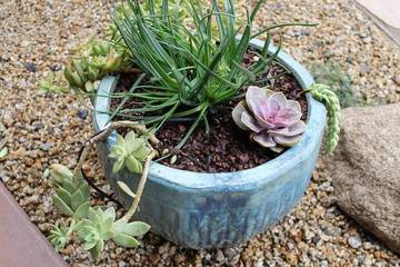 Vacation Apartment for 3 Guests in Mission Bay (SD), San Diego, Picture 1