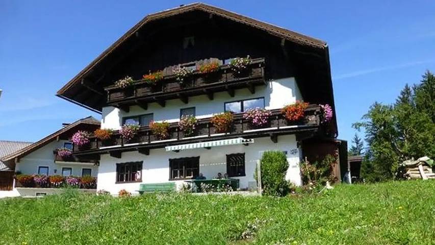 Ferienwohnung für 4 Personen, mit Garten und Balkon in Faistenau - 2