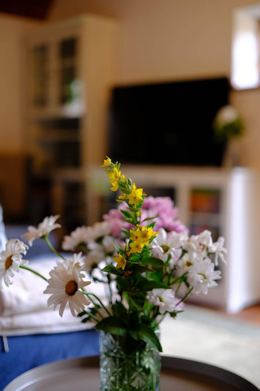 Ganze Wohnung, Judies Garten in Schaalby, Schleswig & Umgebung