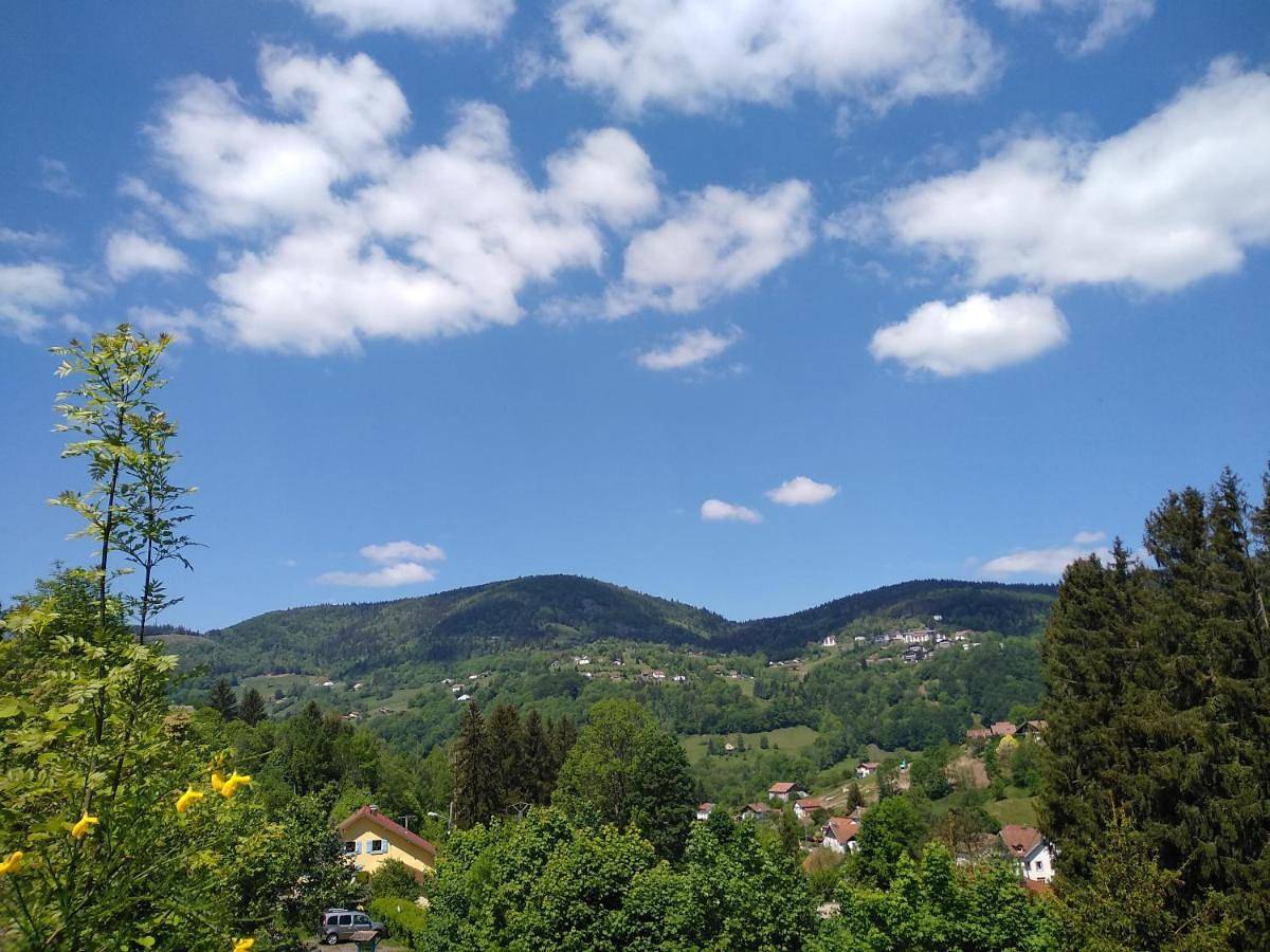 Double Room with Private Bathroom in Bussang, Parc naturel régional des Ballons des Vosges