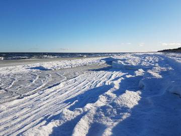 Ferienhaus für 6 Personen in Prerow, Darß, Bild 1