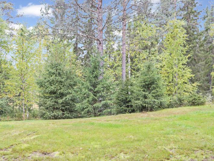 Paljakan pirtit a4 in Kainuu