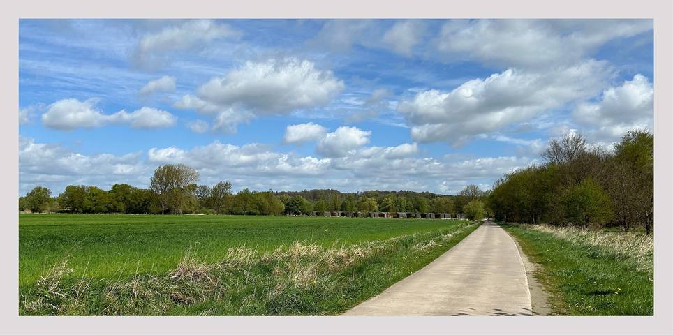 Ferienhaus für 4 Personen, mit Terrasse und Ausblick sowie Garten in Mecklenburgisches Elbetal - 4