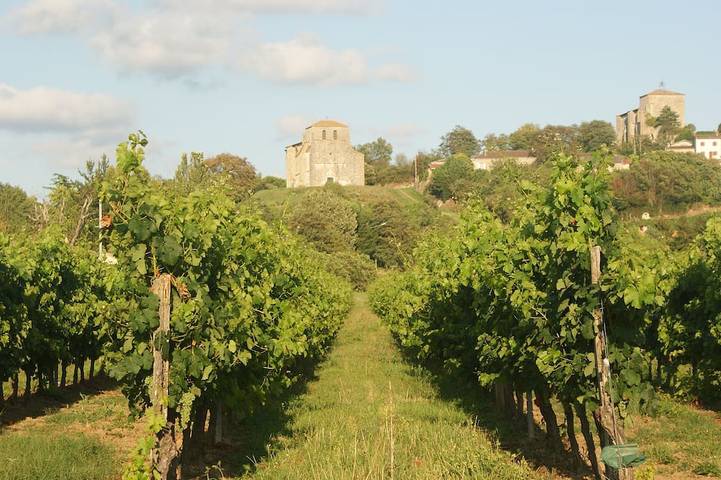 Location de vacances pour 12 personnes, avec jacuzzi et jardin à Pujols (Gironde)