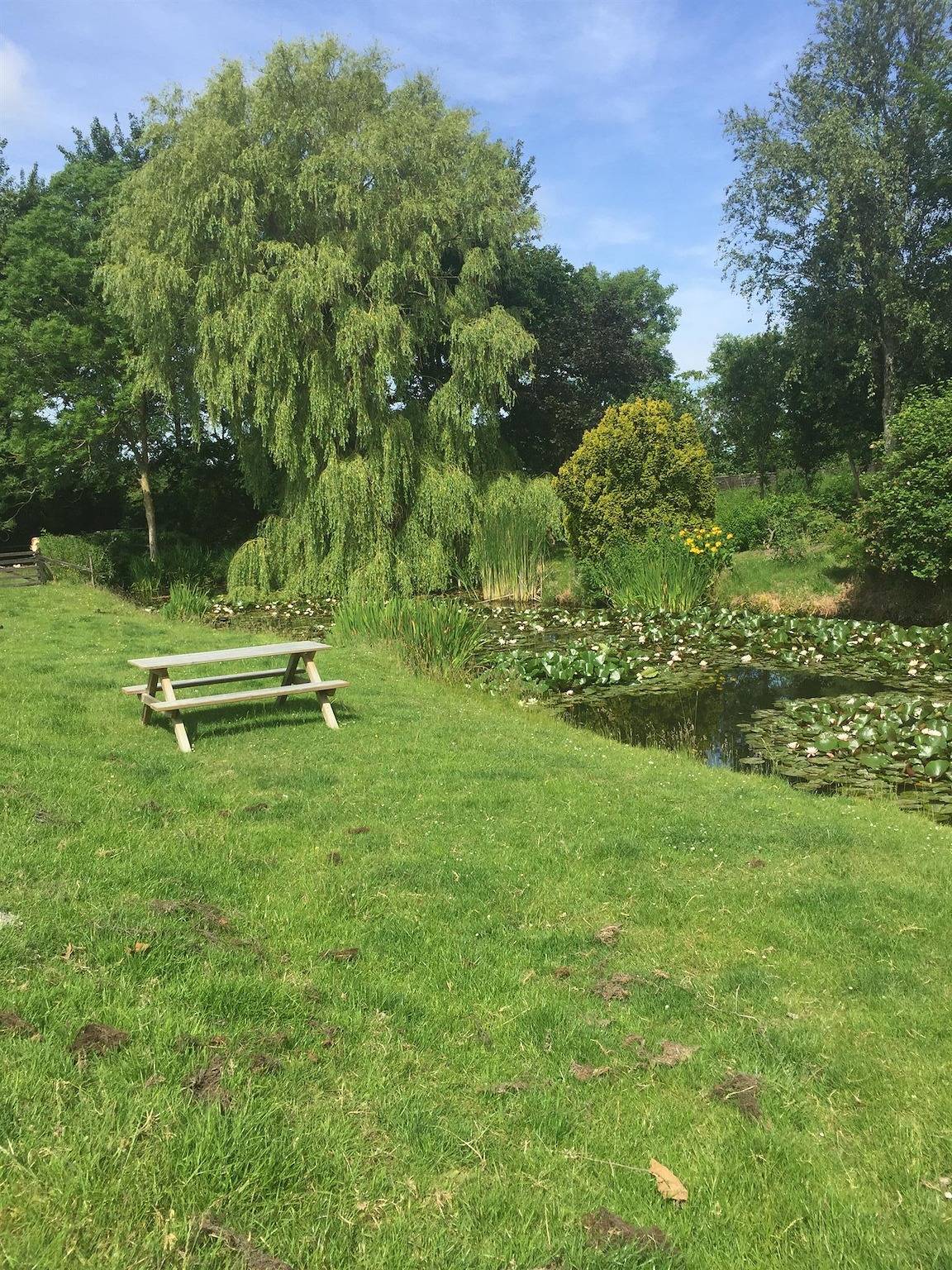 Ganze Ferienwohnung, Garten in Poppenbüll, Eiderstedt