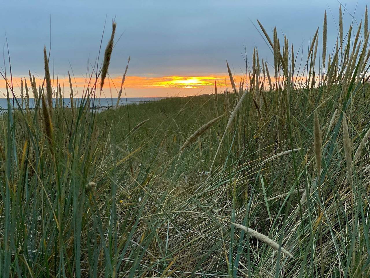 Luxus-Ruckzug mit Pool in Blavand, Varde