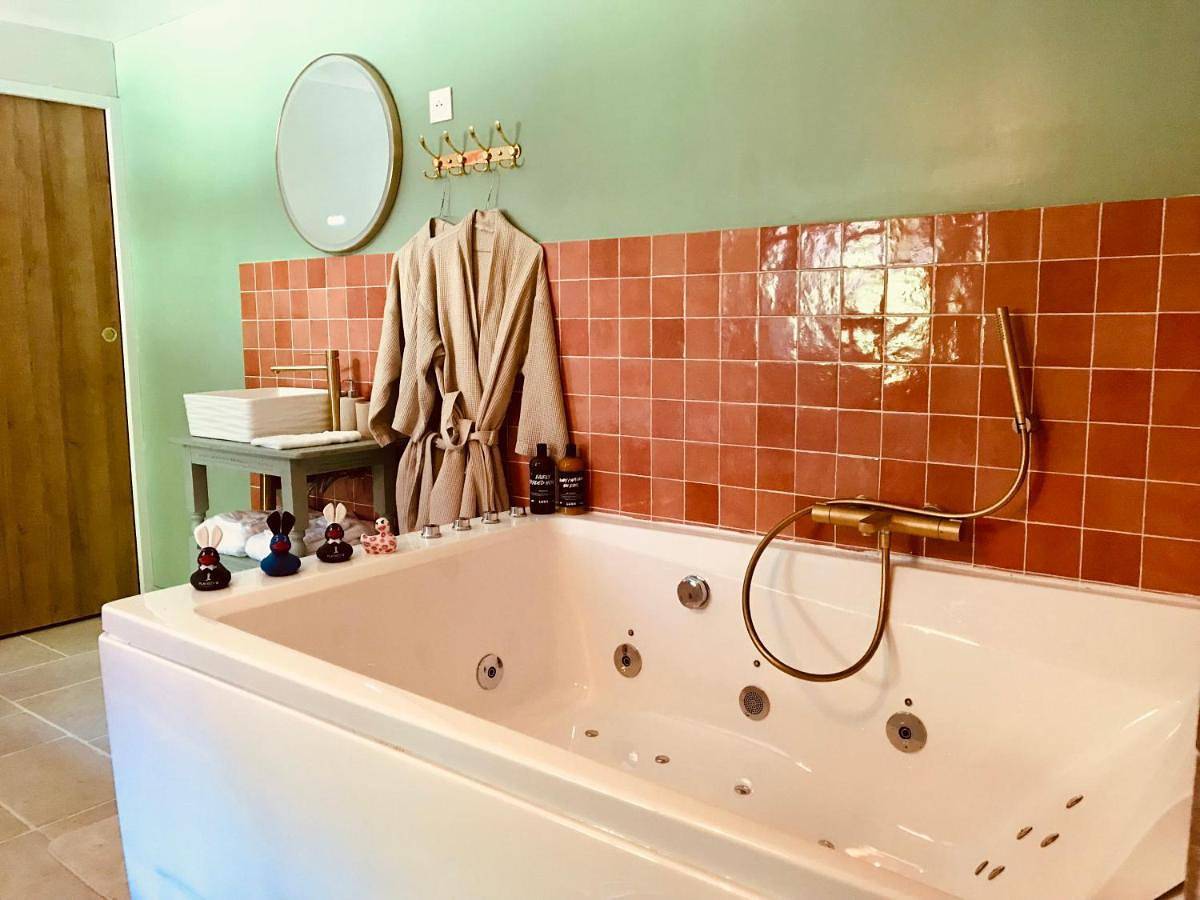 Appartement de vacances entier, Jacuzzi et Vue sur Loire - Maison d'hôtes L'Odyssée in La Chapelle-sur-Loire, Vallée de la Loire