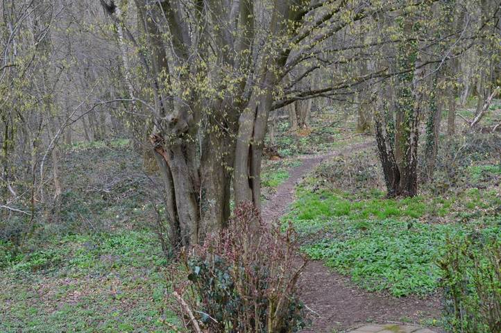 Gîte pour 4 personnes, avec vue et jardin à La Calamine - 4