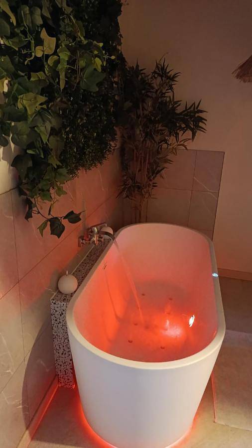 Gîte pour 2 personnes, avec jacuzzi et sauna à Cour-Cheverny - 2