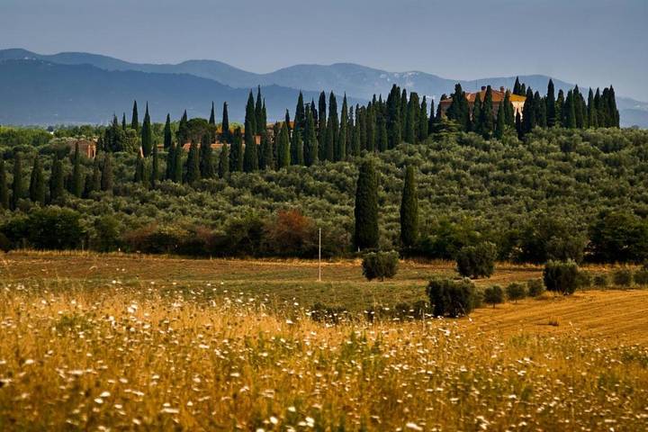 Rustico per 4 persone, con Terrazza e Giardino nonché Piscina e Panorama a Grosseto