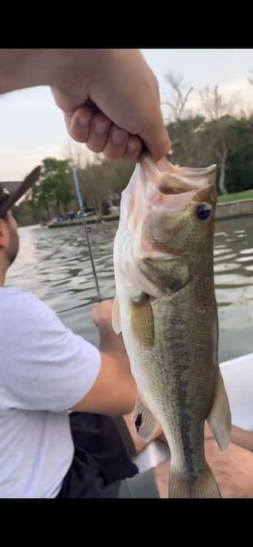 Vacation House for 10 Guests in Lake Conroe, Texas, Picture 2