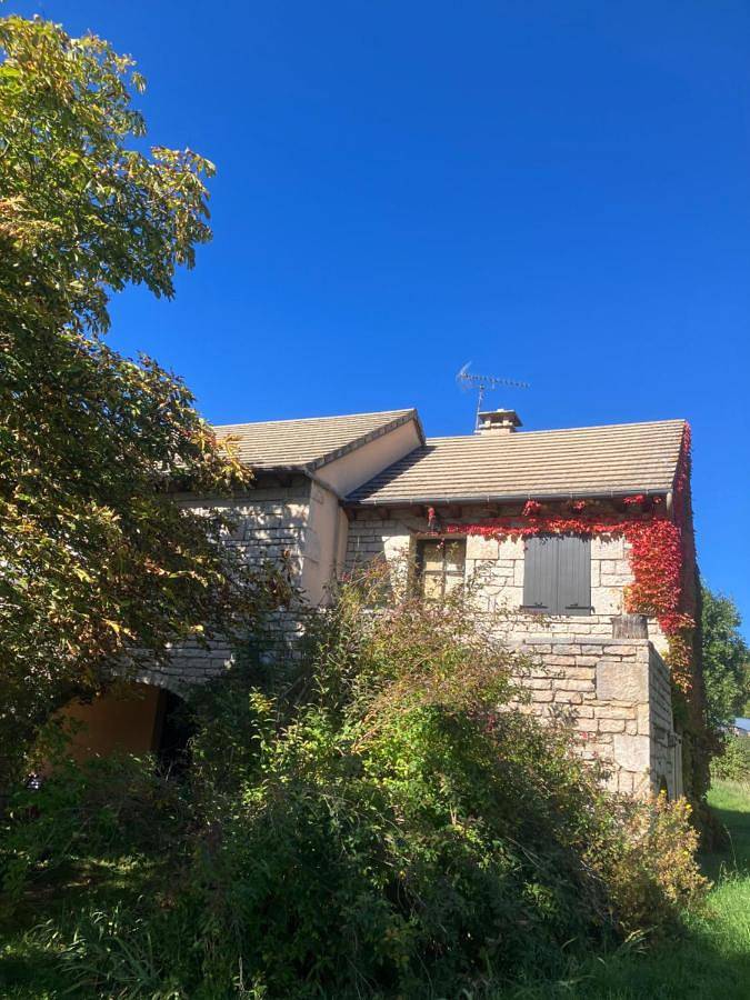 Gîte pour 4 personnes, avec jardin à Mas-Saint-Chély - 2