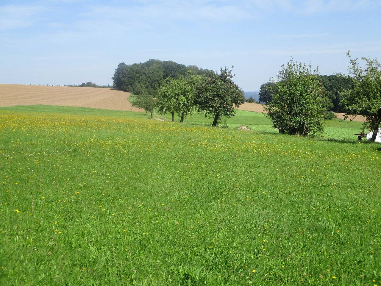Ganze Ferienwohnung, Ferienwohnung Obbe - Ferienwohnung  Obbe in Kirchzell, Main-Odenwald