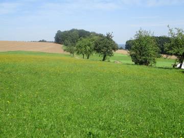 Ferienwohnung für 5 Personen in Kirchzell, Main-Odenwald, Bild 4