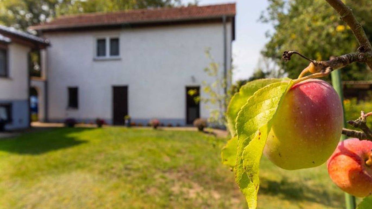 Ganze Ferienwohnung, Ferienwohnung für 5 Personen (60 m²) in Patzig in Patzig, Bergen auf Rügen und Umgebung