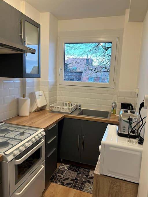 Gîte pour 4 personnes, avec vue, animaux acceptés à Tourcoing - 4