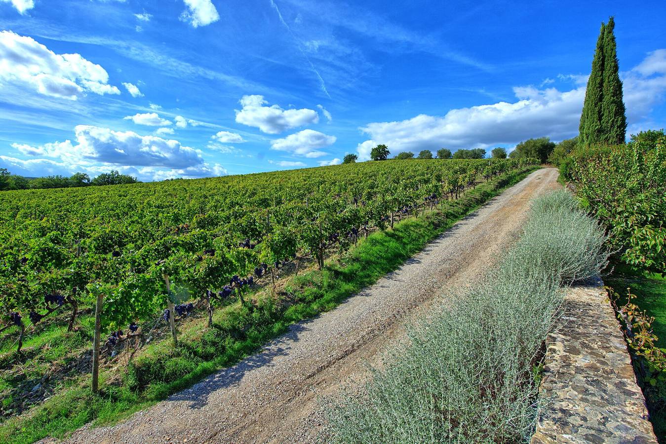 Appartamento intero, Brunello - Brunello 3 in Montalcino, Val d’Orcia