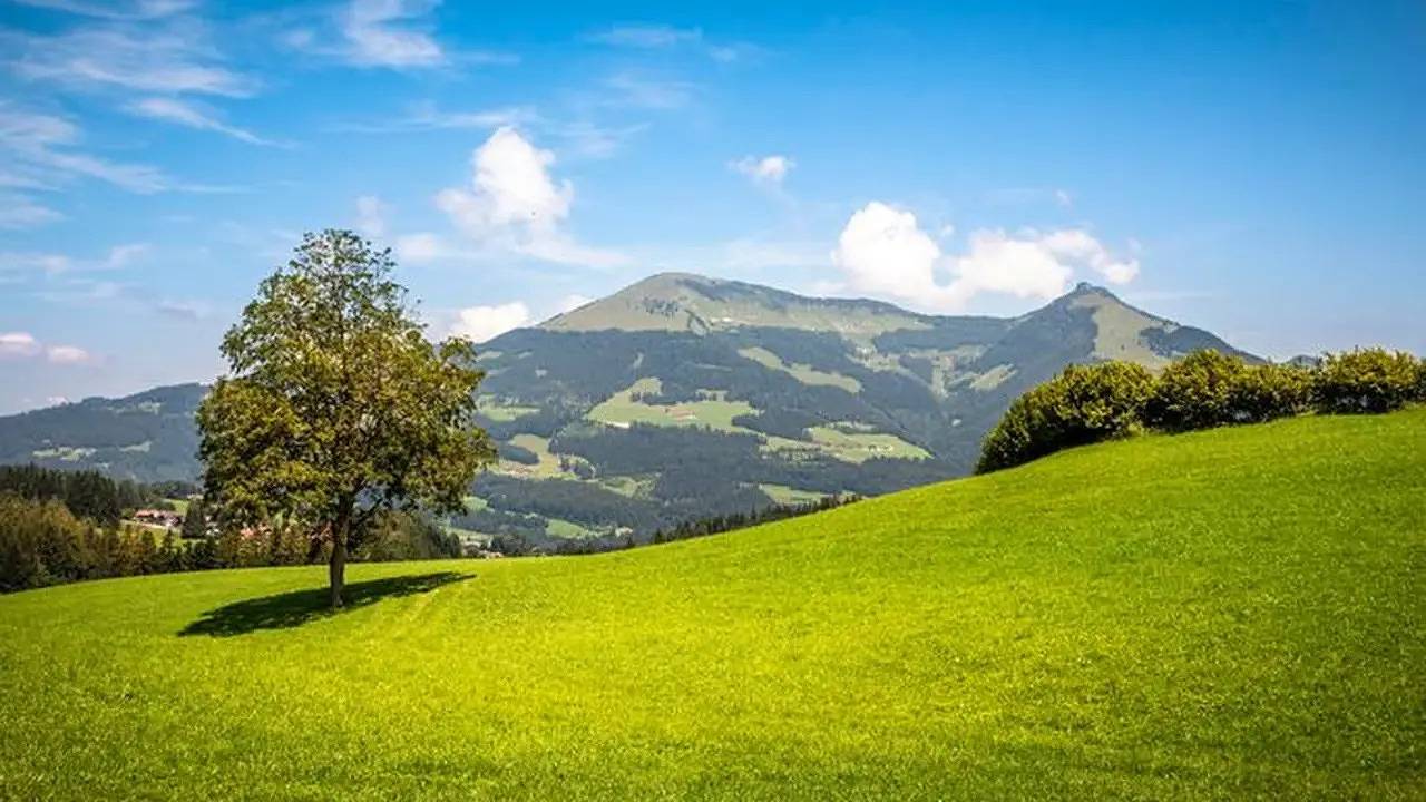 Ganze Ferienwohnung, Ferienwohnung für 4 Personen (50 m²) in Wegscheid in Salzkammergut-Berge, St. Koloman
