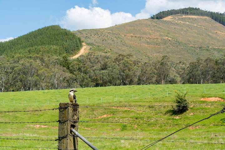 Ośrodek wypoczynkowy dla 2 osób, z ogród, zwierzęta dozwolone w Victoria