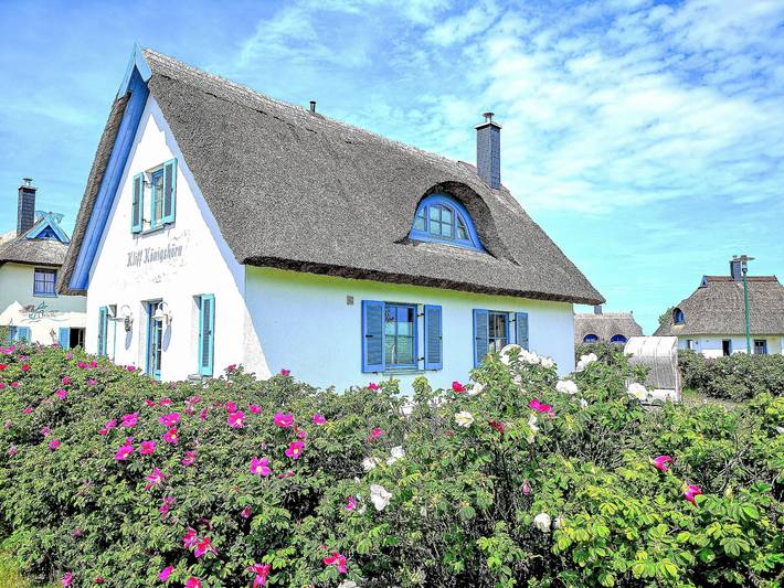 Ferienhaus für 4 Personen, mit Garten und Terrasse sowie Sauna, mit Haustier in Nord - Rügen - 2