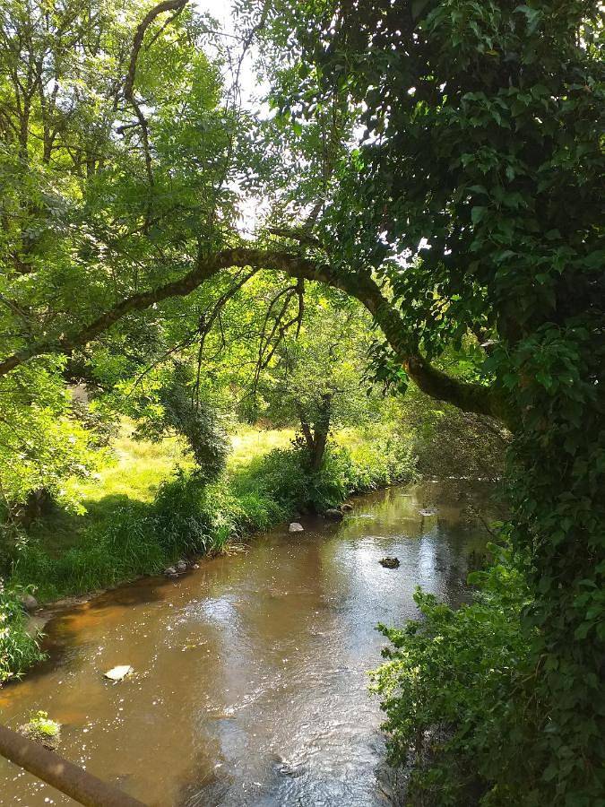 Location de vacances pour 3 personnes, avec vue et jardin, animaux acceptés à Busserolles - 4