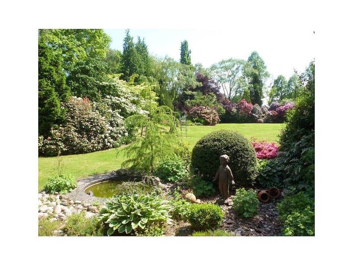 Ferienhaus für 2 Personen, mit Pool und Sauna sowie Garten in Ammerland - 4