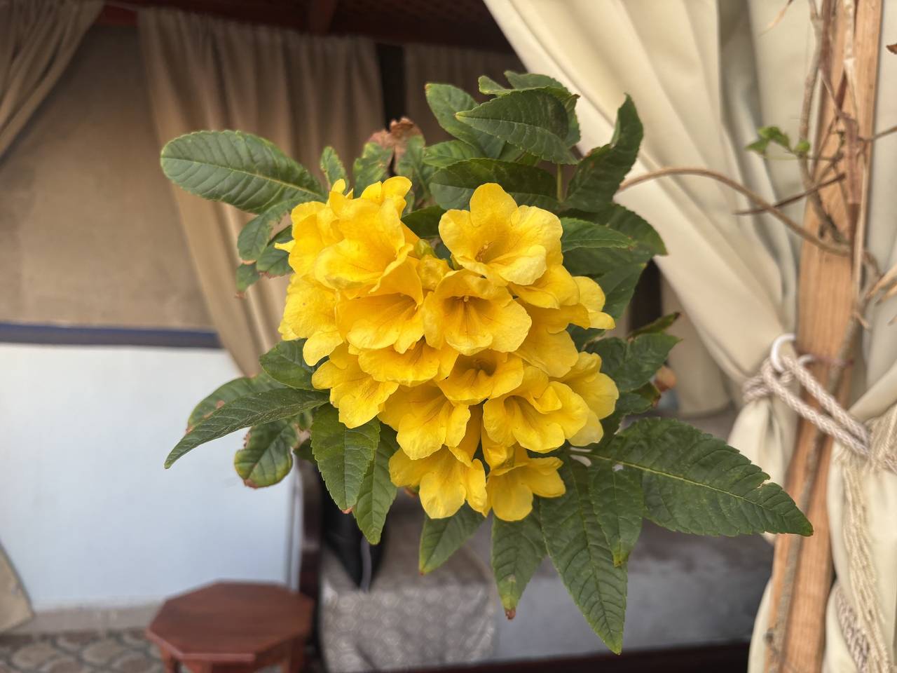 Casa Morisca Klassik in Sidi Ifni, Region Souss-Massa-Drâa