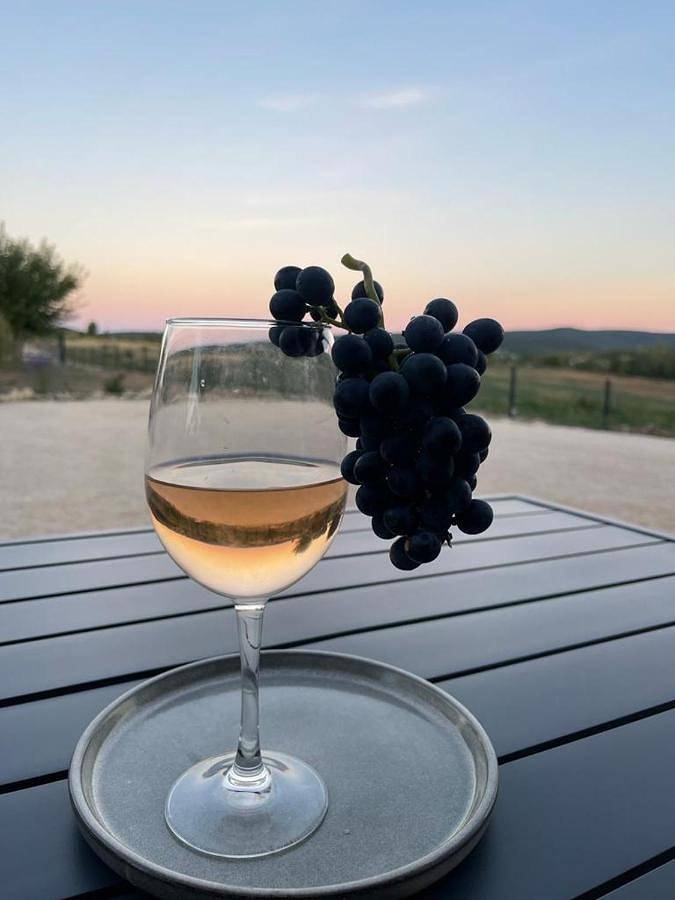 Location de vacances pour 2 personnes, avec piscine ainsi que jacuzzi et jardin à Saint-Jean-de-Maruéjols-et-Avéjan - 4