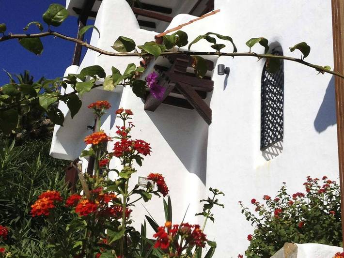 Maison d’hôte pour 4 personnes, avec piscine ainsi que jacuzzi et jardin à Tarifa - 3