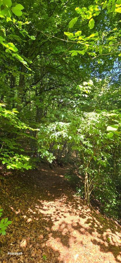 Gîte pour 2 personnes, avec vue, animaux acceptés à Cles - 2