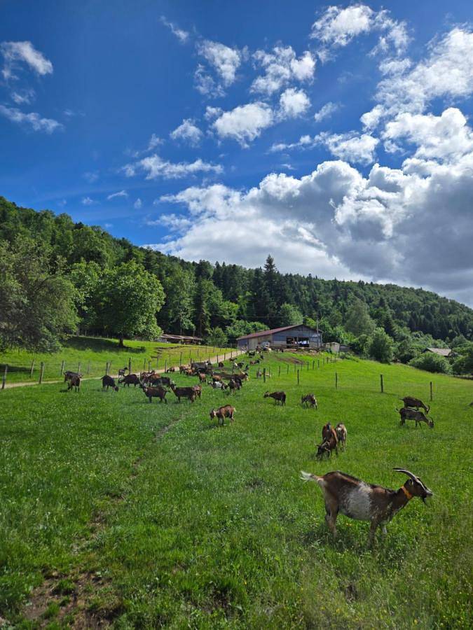 Le temps d'une pause bed and breakfast in Servance, Haute-Saône