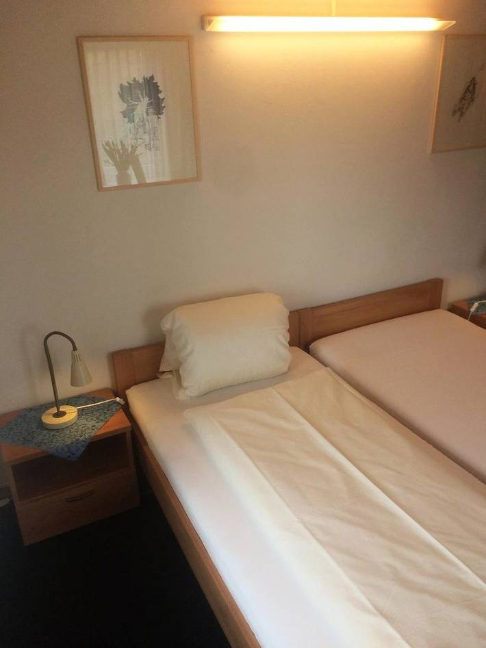 Hôtel pour 3 personnes, avec jardin, animaux acceptés à Maienfeld - 4