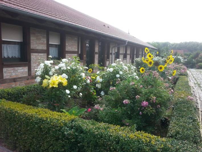 Ferienwohnung für 3 Personen, mit Terrasse und Garten in Schöneberg