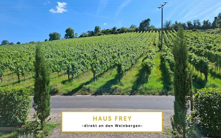 Ferienwohnung für 6 Personen, mit Ausblick und Balkon in Leinsweiler