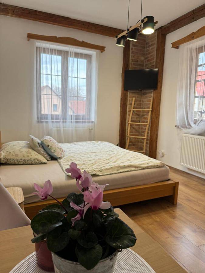 Appartement de vacances entier, Double Room with Private Bathroom and Extra Bed in Plzeň, Région de Plzeň