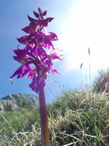 Gîte pour 6 Personnes dans Villard-de-Lans, Vercors, Photo 2