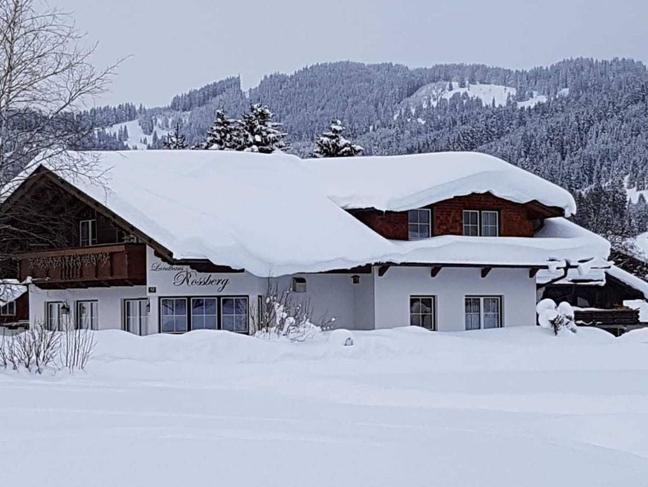 Ganze Ferienwohnung, Landhaus Rossberg in Tannheim (Tirol), Allgäuer Alpen (Österreich)