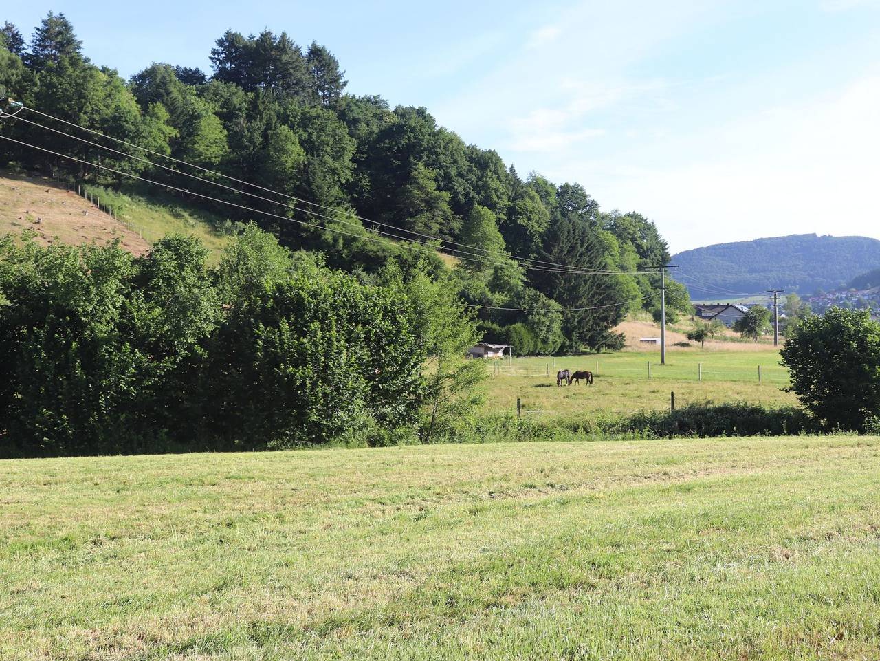 Ganze Ferienwohnung, Ferienwohnung Braun - Ferienwohnung Rebbergblick in Seelbach, Mittlerer Schwarzwald