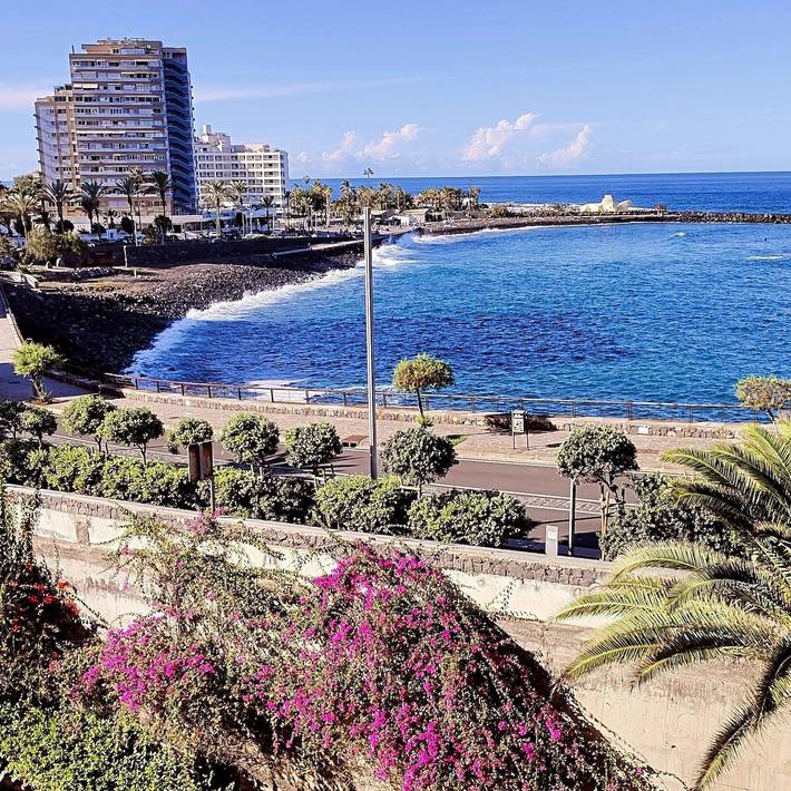 Gîte pour 4 personnes, avec Jardin à Puerto de la Cruz - 3