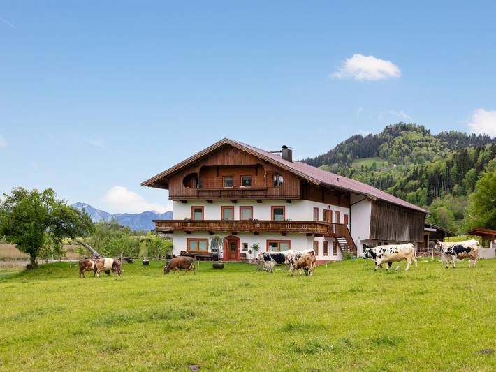 Hütte für 10 Personen, mit Balkon und Terrasse sowie Garten in Walchsee