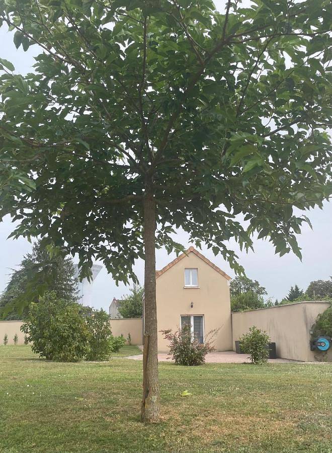 Location de vacances pour 3 personnes, avec jardin ainsi que terrasse et vue à Saint-Marcel (Indre) - 2