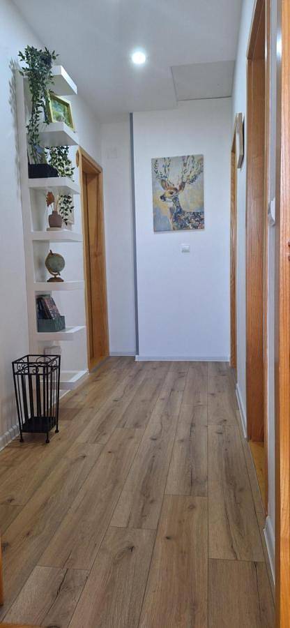 Gîte pour 4 personnes, avec jardin et vue dans Poljanak - 2