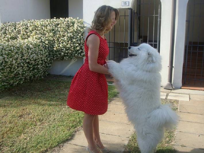 Gîte pour 6 personnes, avec jardin et piscine ainsi que bassin pour enfant et balcon, adapté aux familles à Lido di Spina - 3