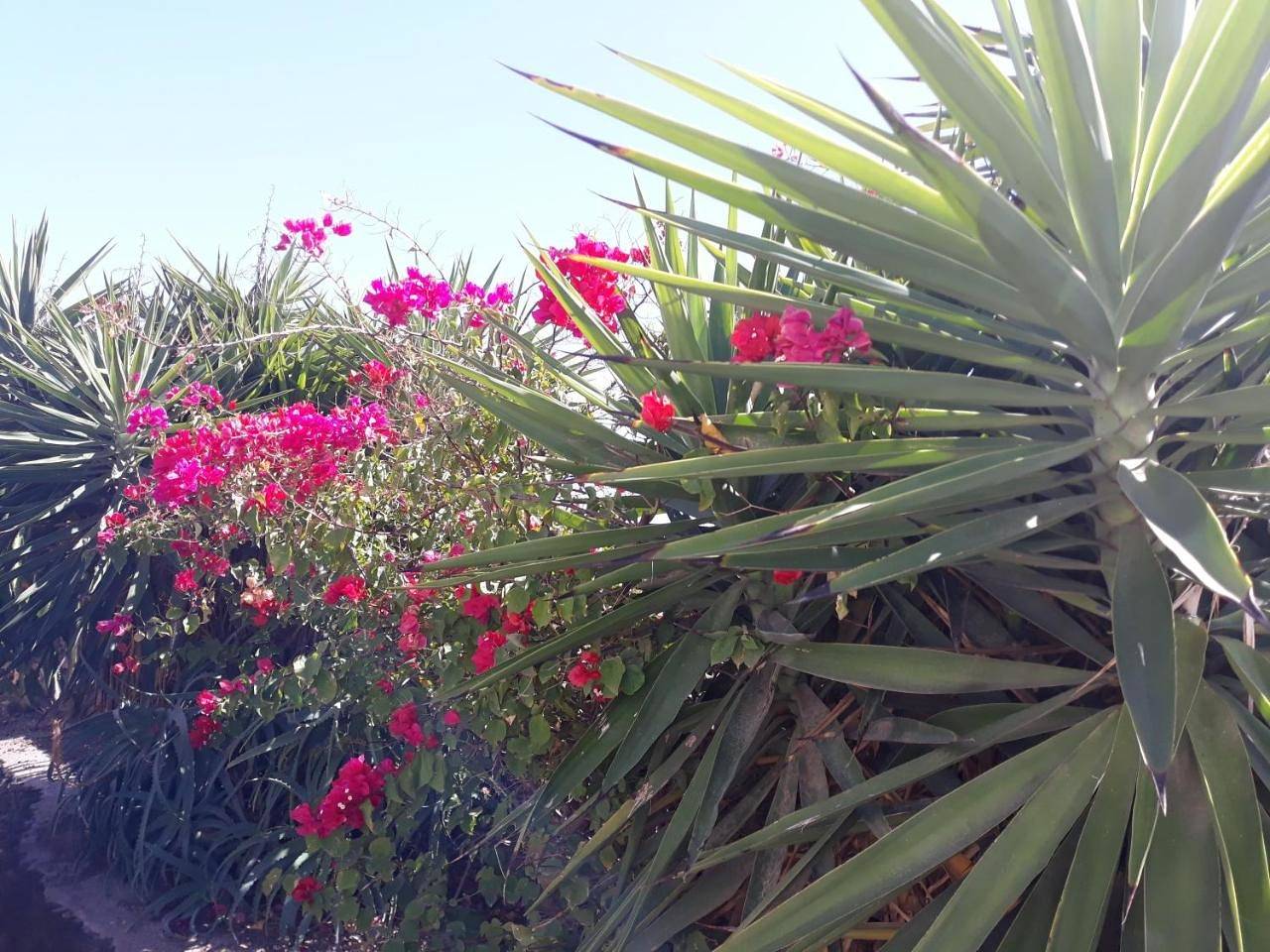 Holiday Home in Lajares, La Oliva