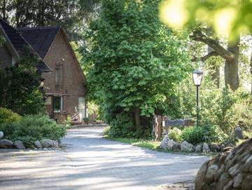 Ferienwohnung für 3 Personen in Schneverdingen, Nordheide, Bild 4