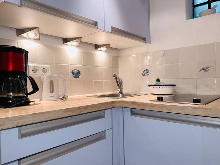 Ferienwohnung für 2 Personen, mit Sauna und Terrasse in Biikebrennen - 4